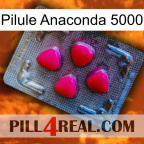 Anaconda 5000 Pill 13
